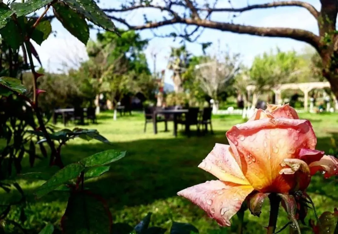 Otantik Tas Ev Bed & Breakfast Dalaman