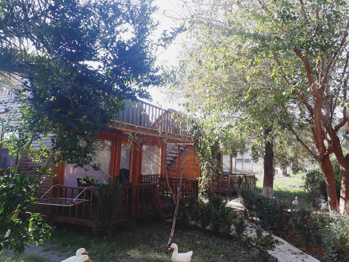 Otantik Tas Ev Bed & Breakfast Dalaman Turkey